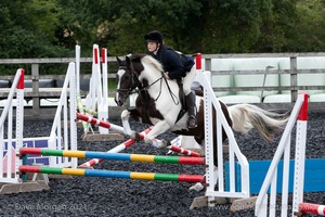 Class 3 -  Fences not above 2'3